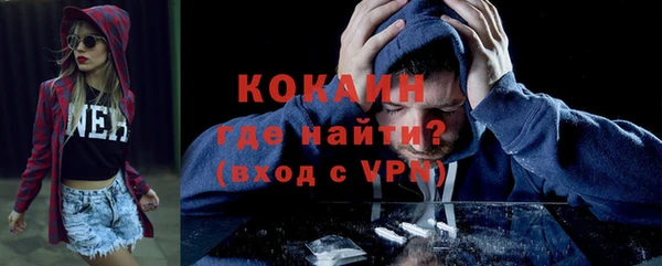 гашик Нея