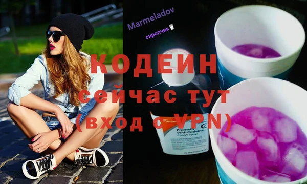 гашик Нея