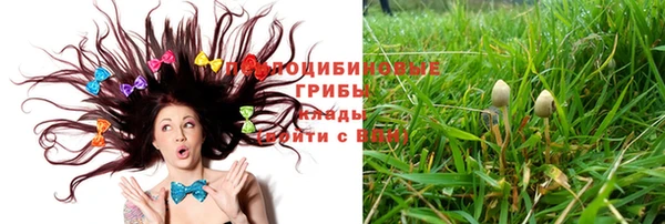 гашик Нея